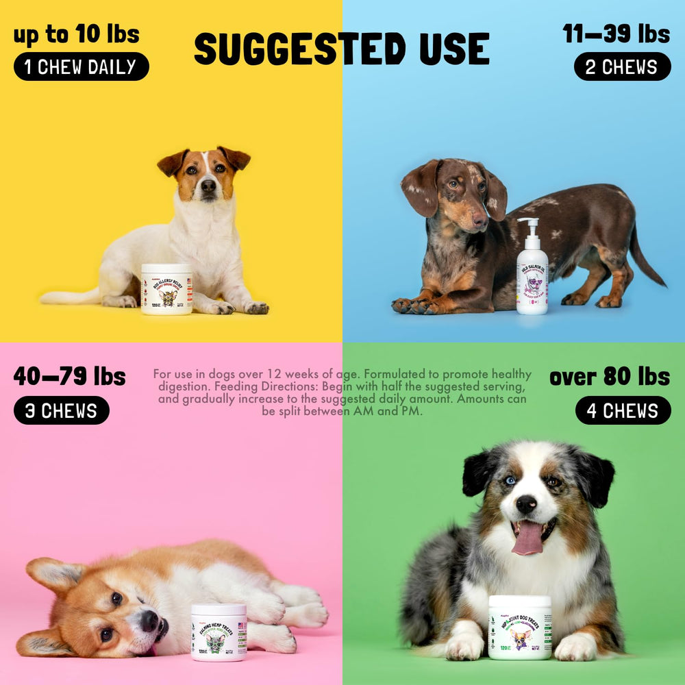 Chien détendu après ingestion des friandises LegitPet, soutien digestif potentiel.