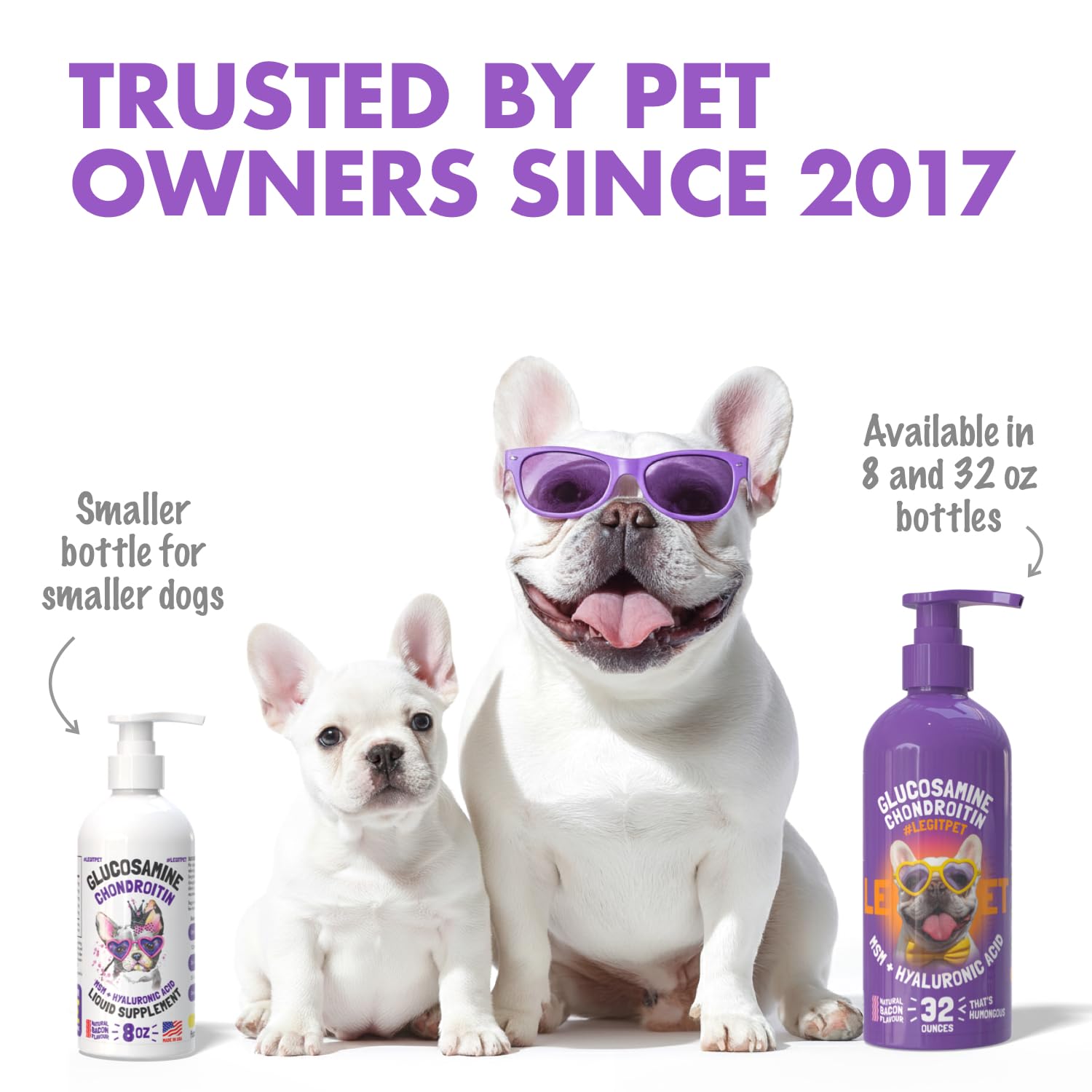 Soutien articulation et mobilité avec LEGITPET pour chiens