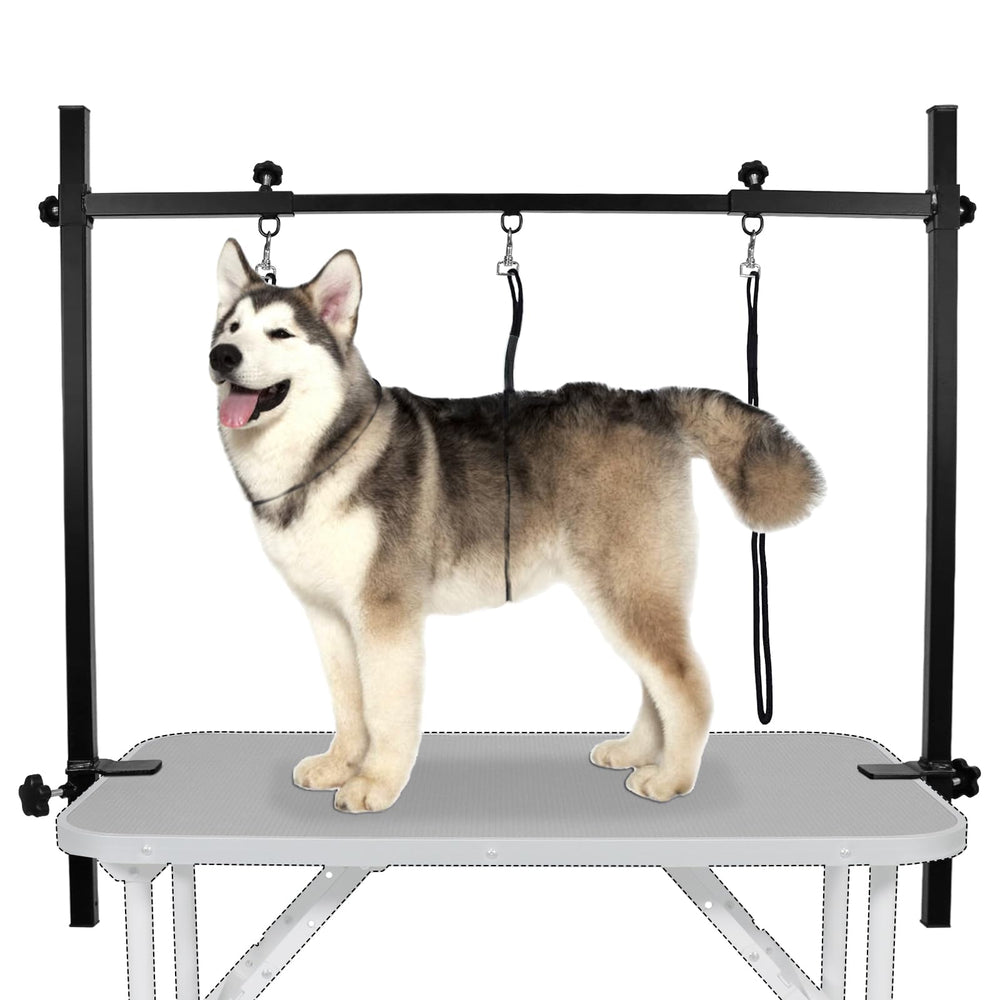 Ensemble robuste et polyvalent LEIBOU pour la plupart des chiens