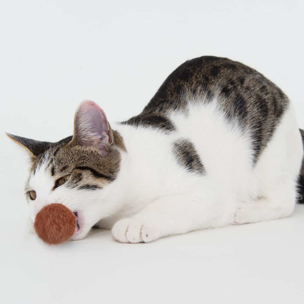 Boules pompon LEIFIDE robustes et peu susceptibles de se déchirer pendant le jeu.