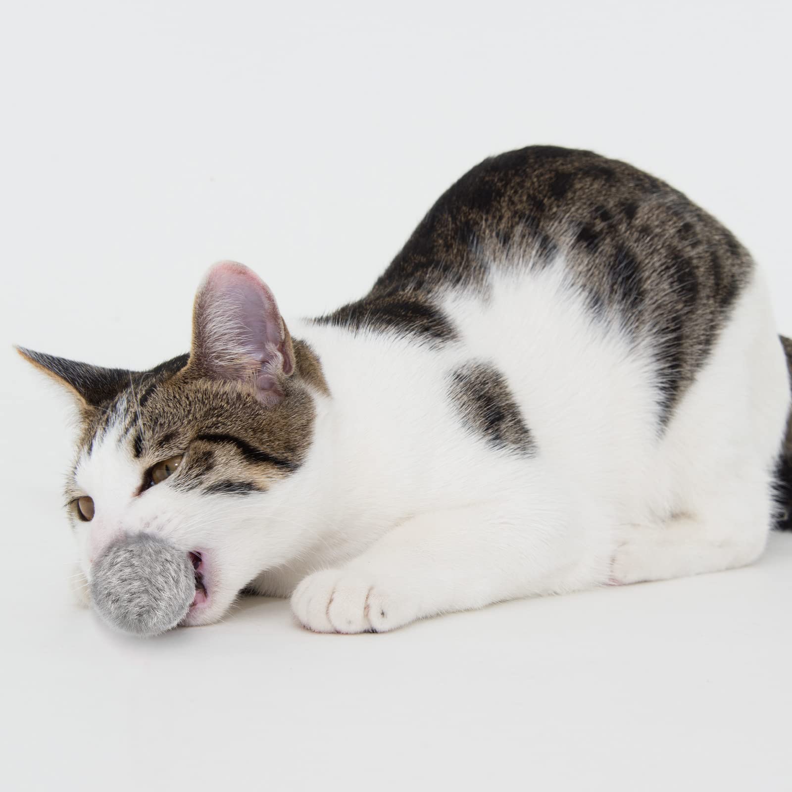 Leifide emballage jouets chat lapin, idéal pour cadeaux et réassort.