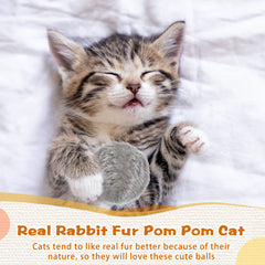 Leifide ensemble balles pom-pom chat, lot multicolore pour divertissement quotidien.