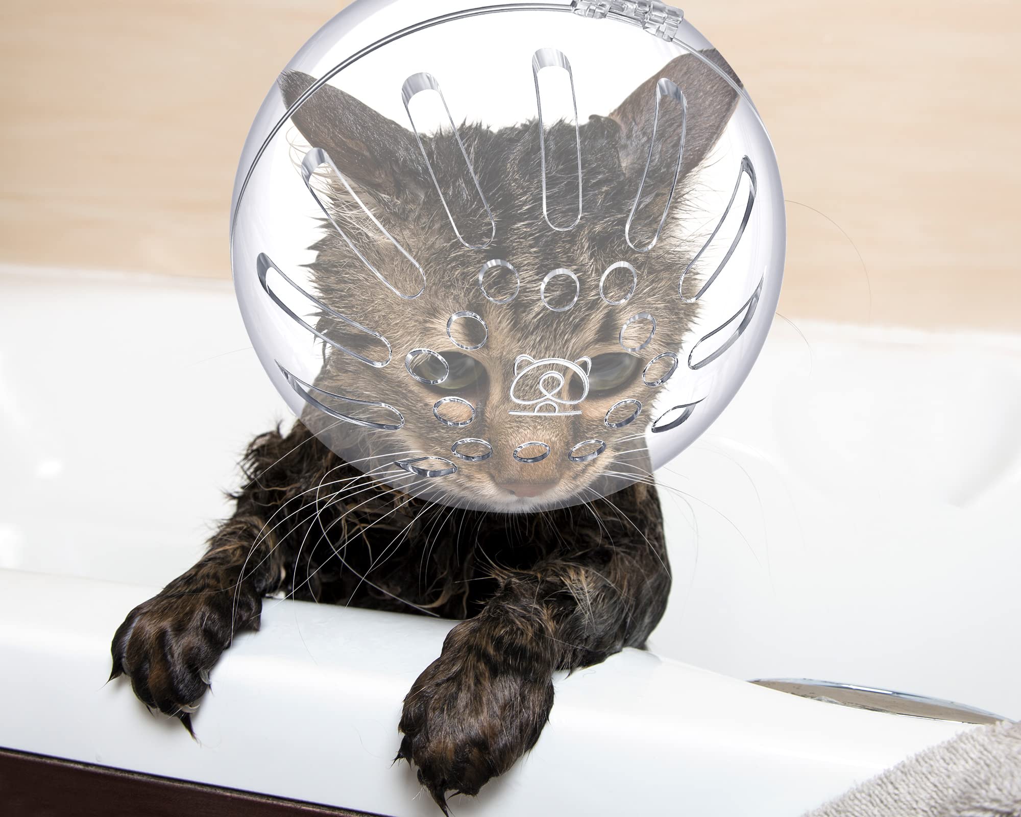LEIFIDE kit grooming chat, ensemble pratique pour bain et toilettage