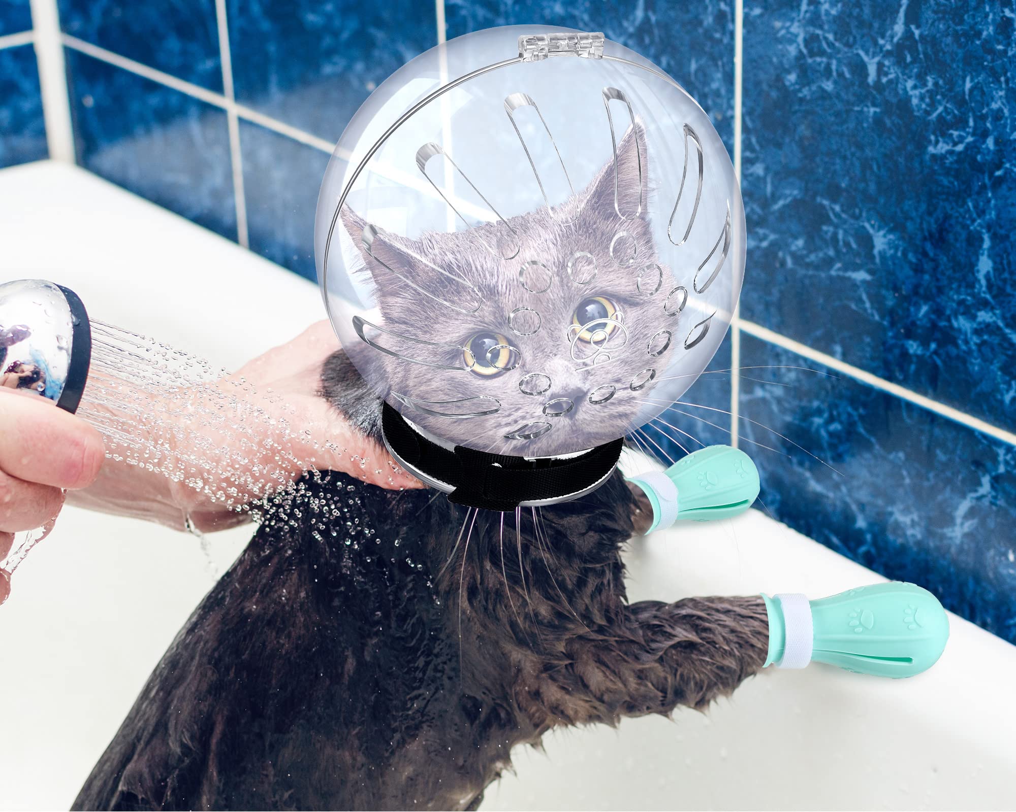 Mesures museau chat, ajustement précis pour votre compagnon.