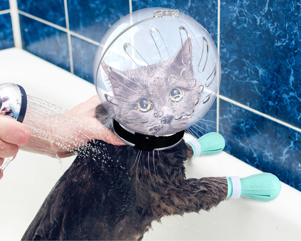 Mesures museau chat, ajustement précis pour votre compagnon.