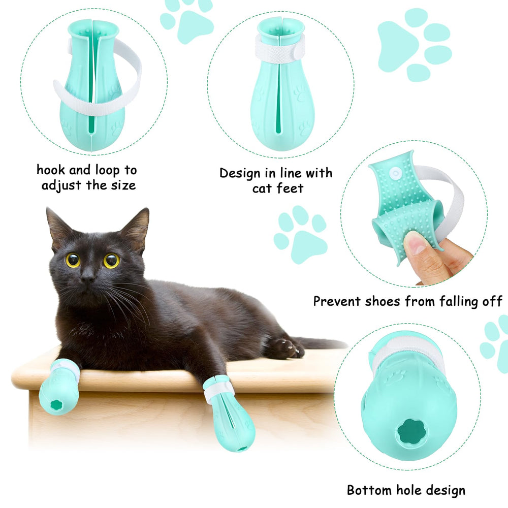 Museau chat capuche en action lors du grooming.