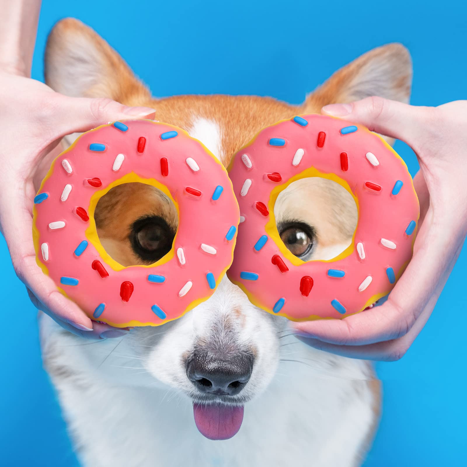 Leitee donut lavable — facile à nettoyer et réutilisable