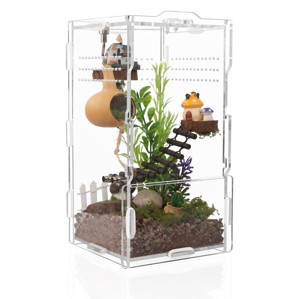 LEIZHENZI enclos-arboreal-araignée vertical – vue claire et sécurité.