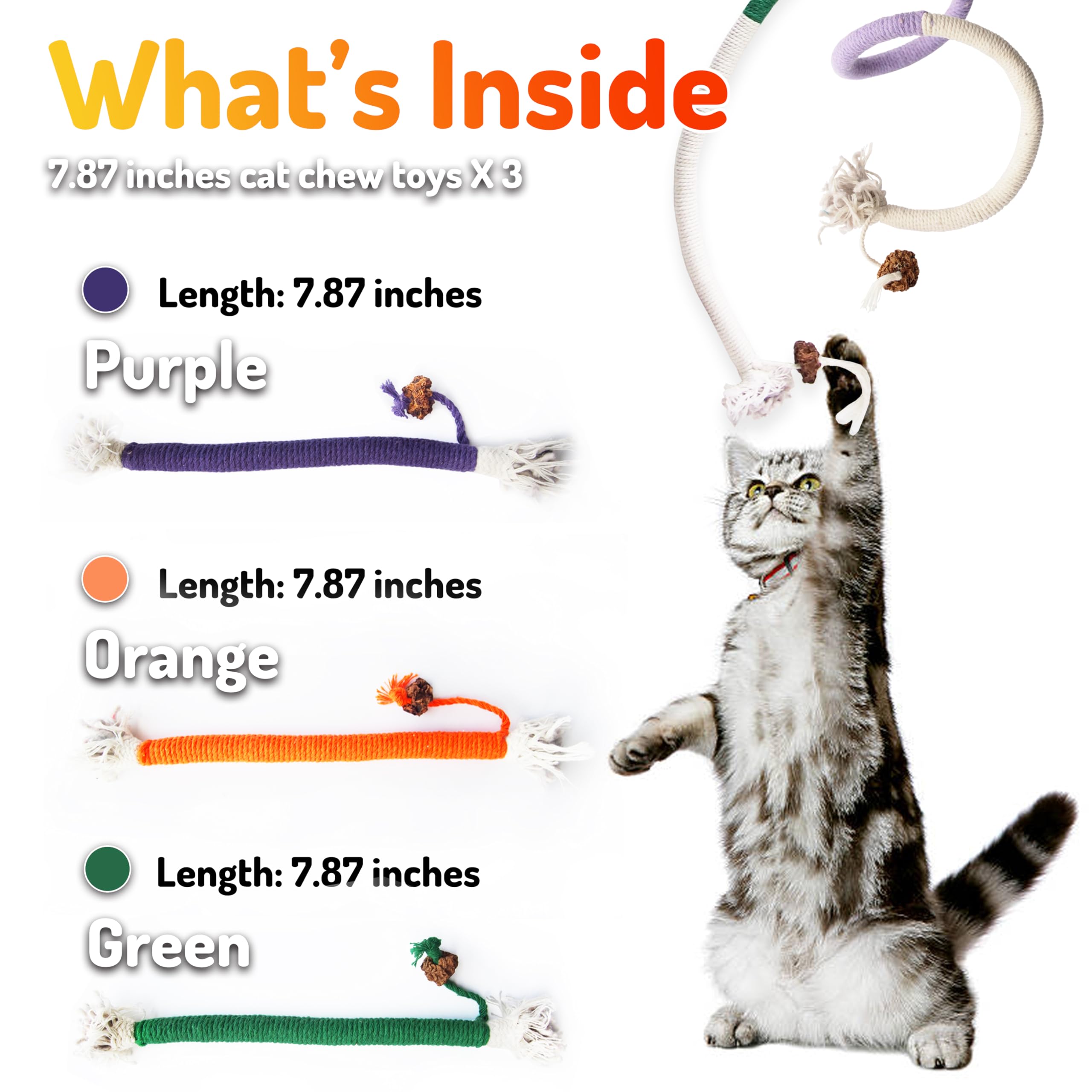 Jouet LEKEWPET polyvalent pour tous les chats