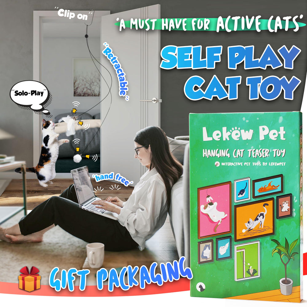 LEKEWPET Plumes avec clochette – remplacement varié des jeux