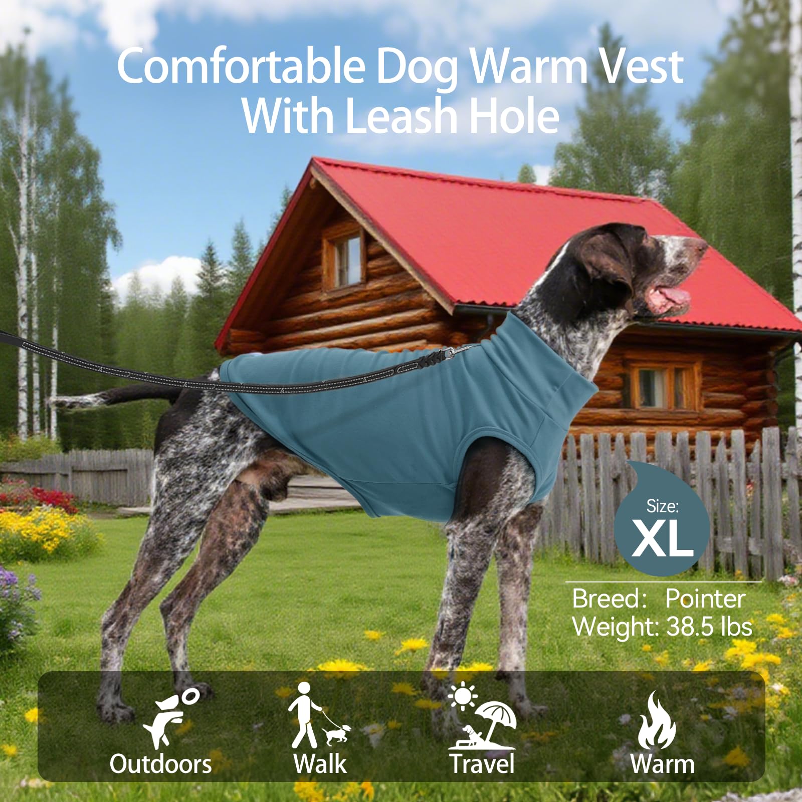 LeleTail gilet chien facile à enfiler, sans fermeture.