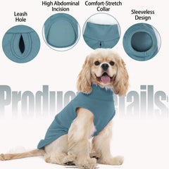 LeleTail gilet chien rayures bleu, style et praticité.
