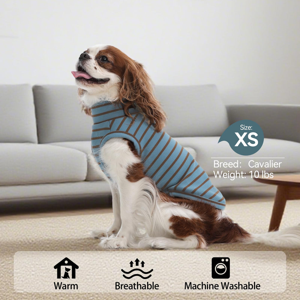 LeleTail gilet usage quotidien pour chien, idéal en intérieur et dehors.
