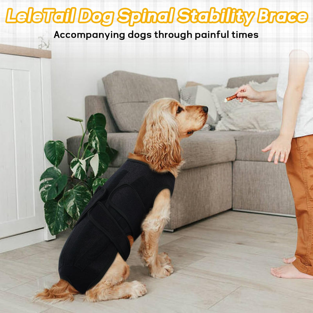 LeleTail nettoyable et lavable pour une hygiène simplifiée