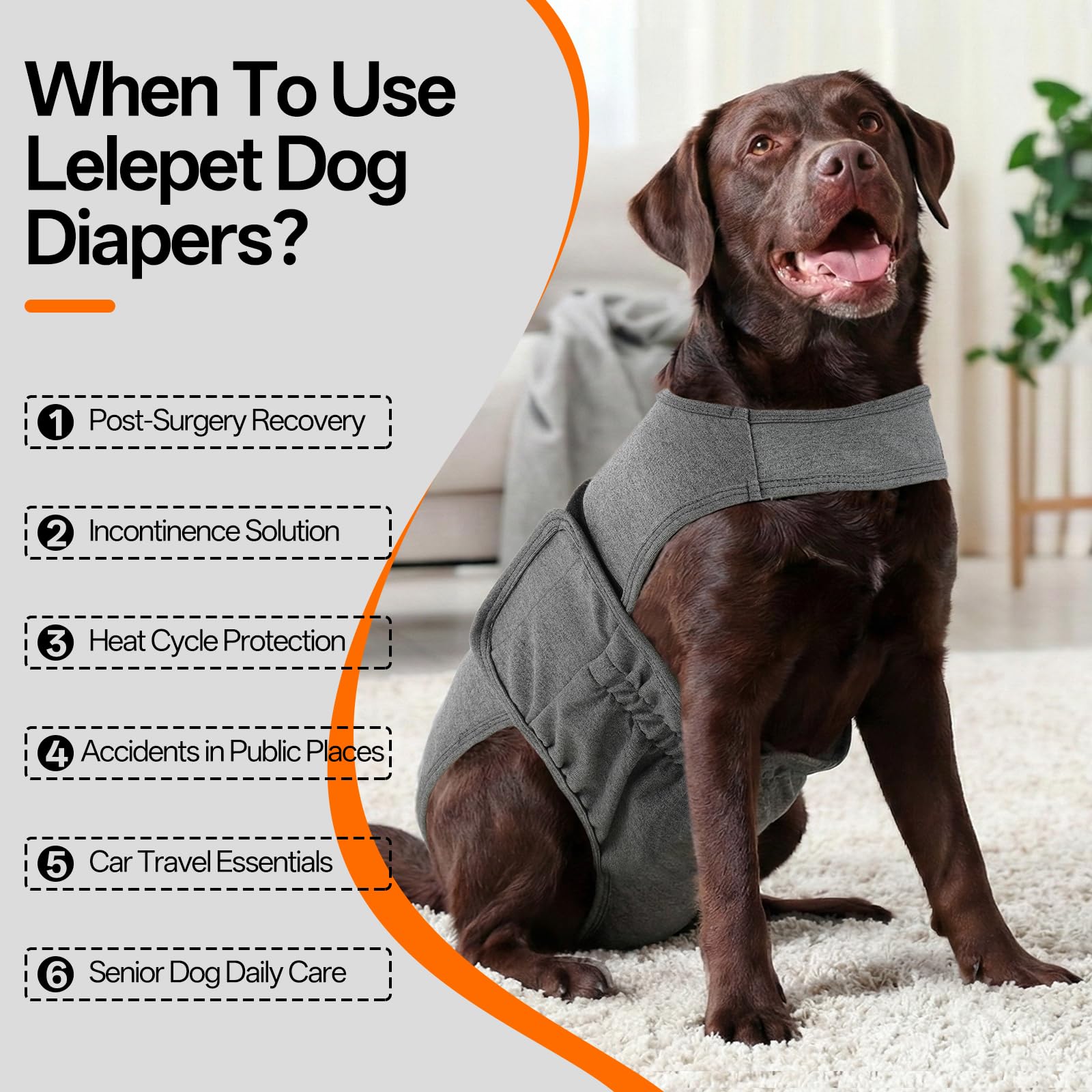 LeLePet bretelles couche chien: maintien fiable pendant l'activité.