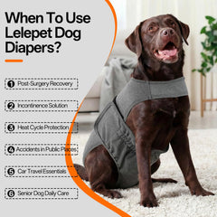 LeLePet bretelles couche chien: maintien fiable pendant l'activité.