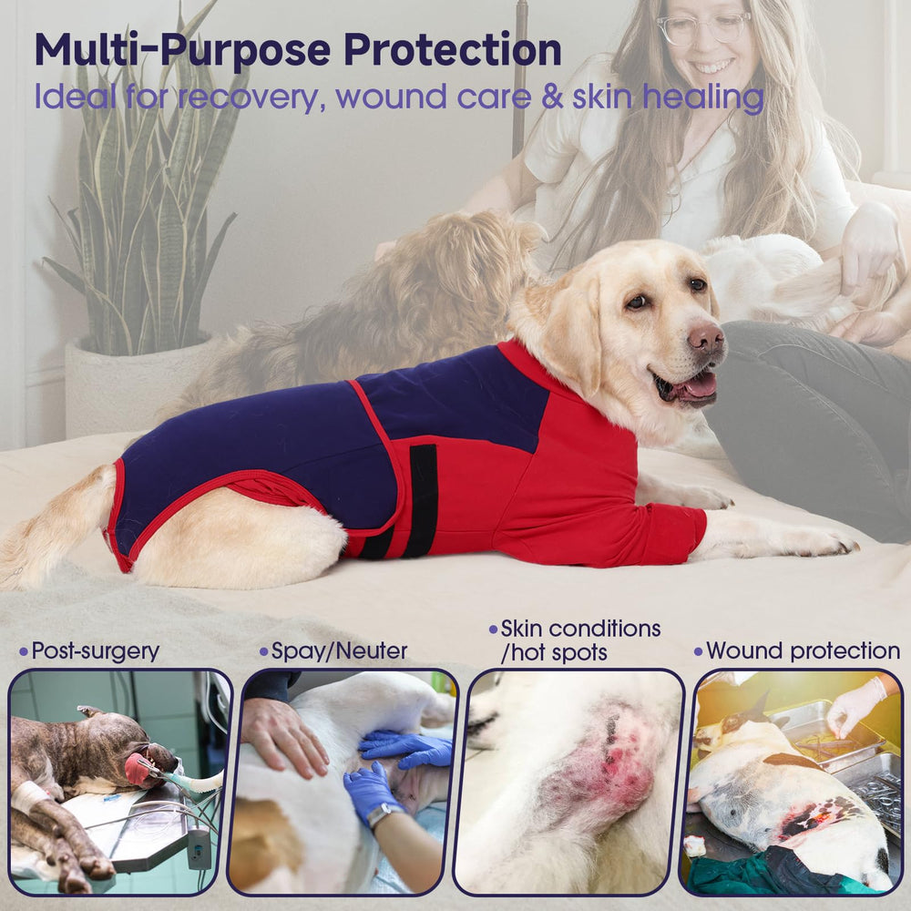 LeLePet combinaison-reconvalescence chien fermeture-velcro — fermeture pratique qui demeure en place pendant la récupération