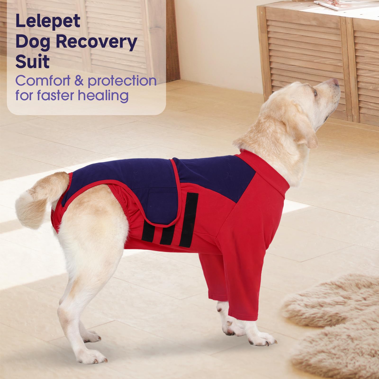 LeLePet combinaison récupération chien tailles multiples pour toutes les races
