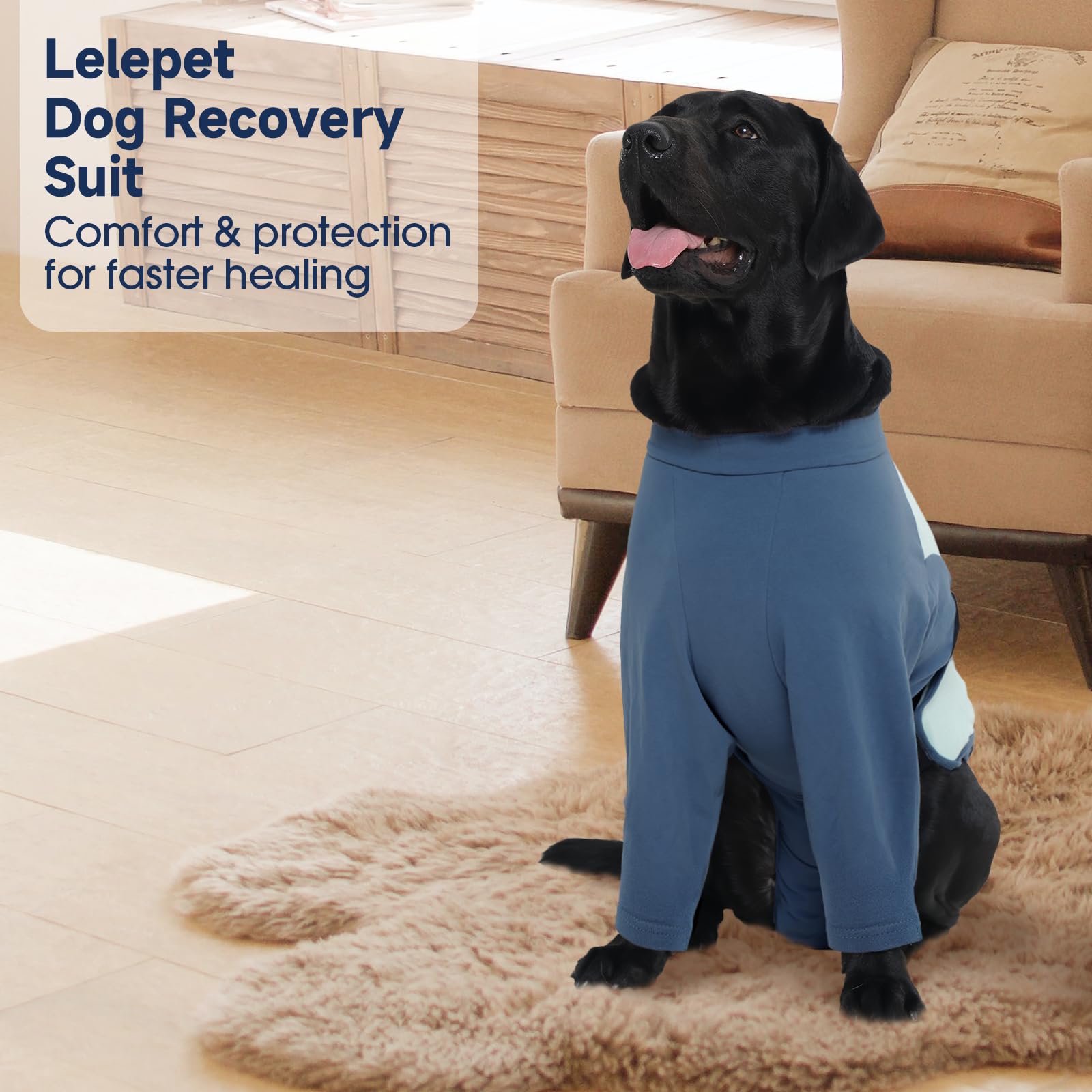 LeLePet combinaison de rétablissement chien – coupe unisexe et tailles XS à 3XL.