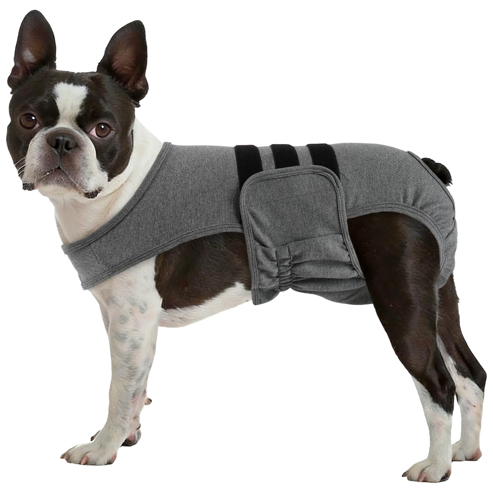 LeLePet couche chien lavable: protection douce et réutilisable pour le cycle de chaleur.