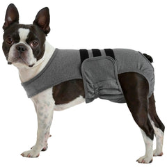 LeLePet couche chien lavable: protection douce et réutilisable pour le cycle de chaleur.