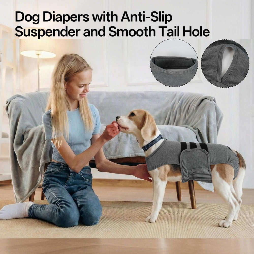 LeLePet couche chien réutilisable: économie et réduction des déchets.