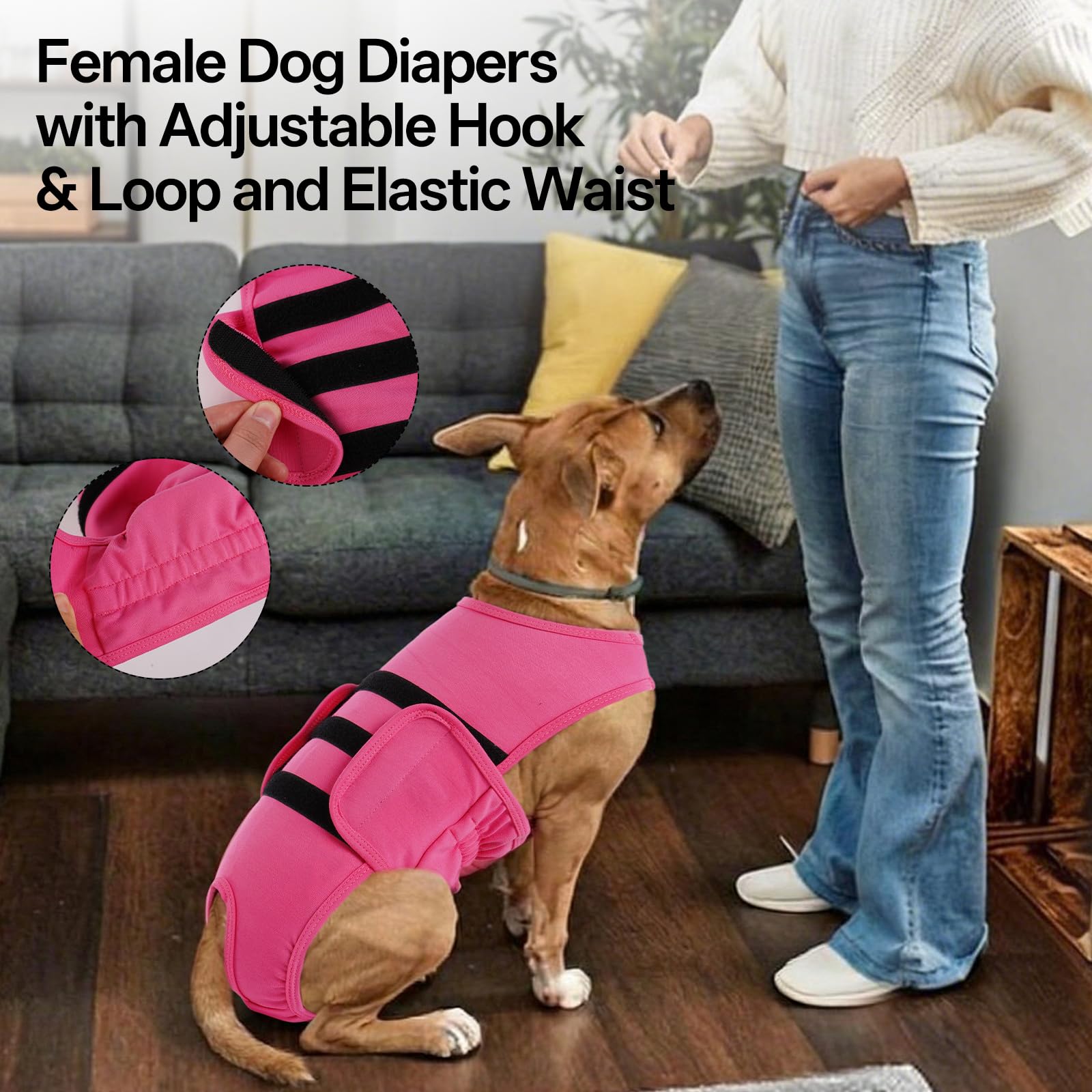 LeLePet couche chien lavable en machine, économie et écologie