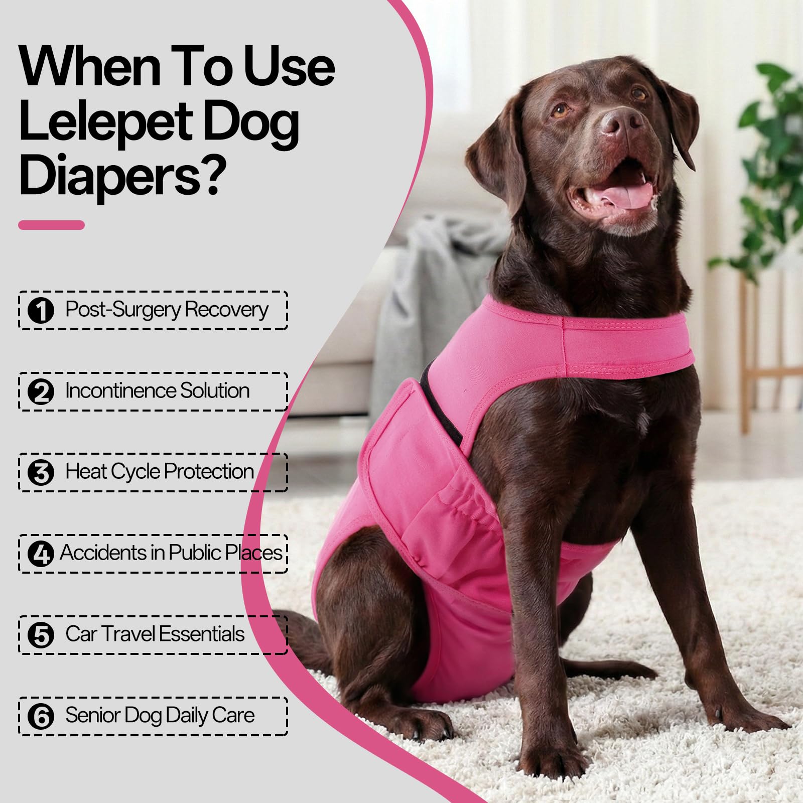 LeLePet couches chien bretelles ajustables pour éviter le glissement pendant l activité.
