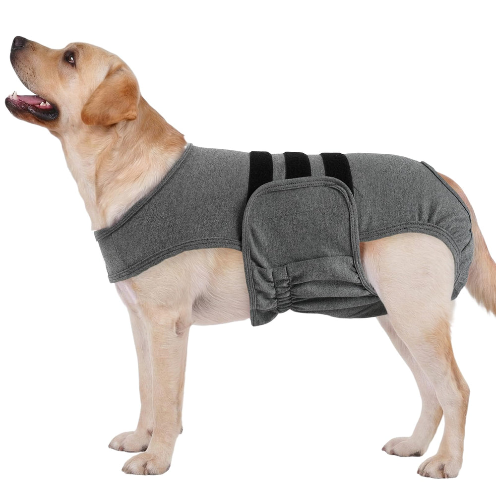 LeLePet couches chien femelle en chaleur offrant confort durable et protection