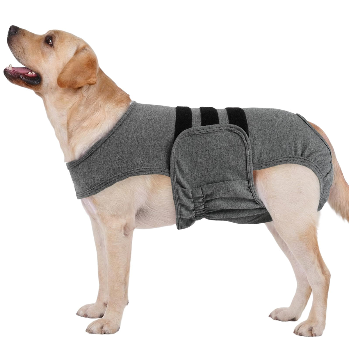 LeLePet couches chien femelle en chaleur offrant confort durable et protection