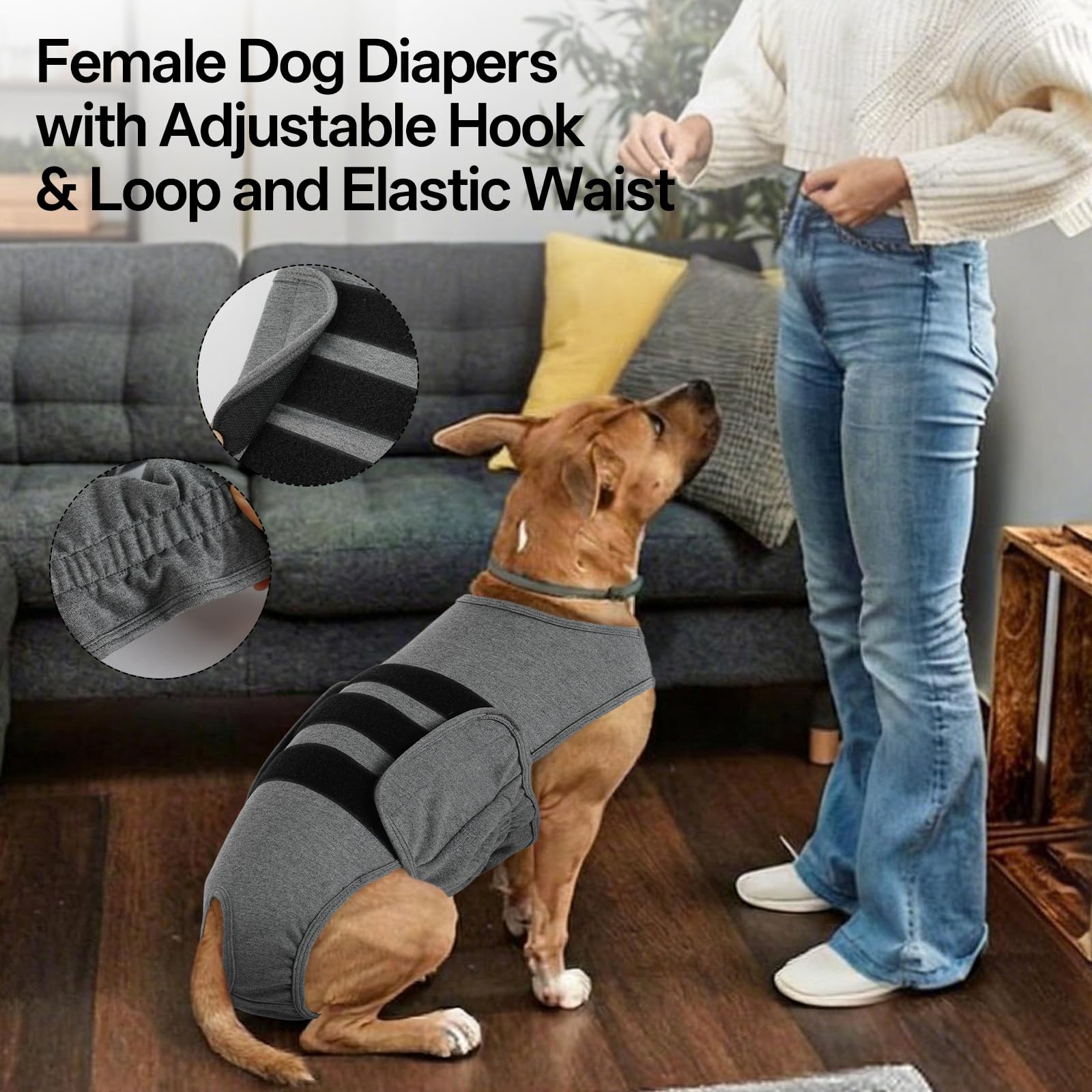 LeLePet grande chienne en chaleur portant la couche légère