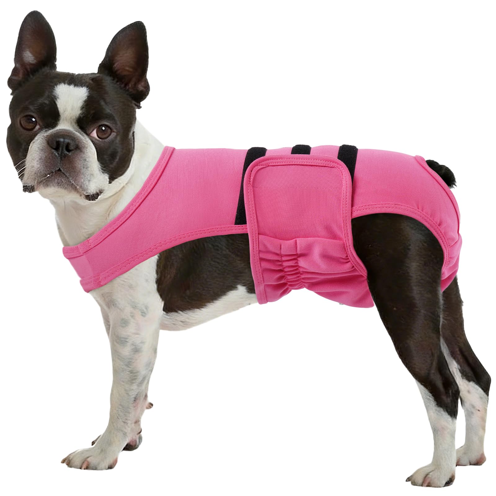 LeLePet couches réutilisables pour chienne en chaleur, douceur et confort quotidien.