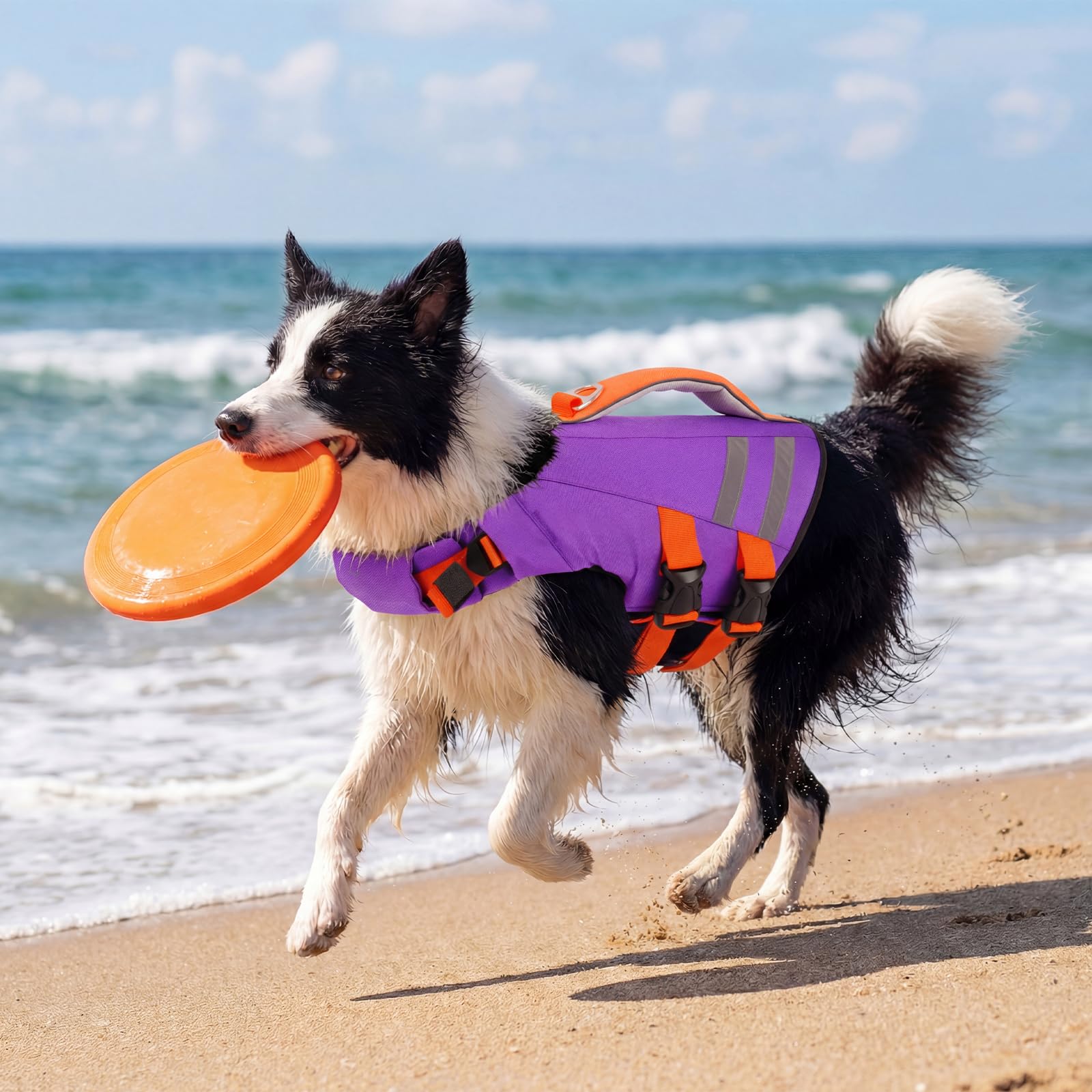 LeLePet gilet natation chien – activité plage, idéal pour les balades nautiques.
