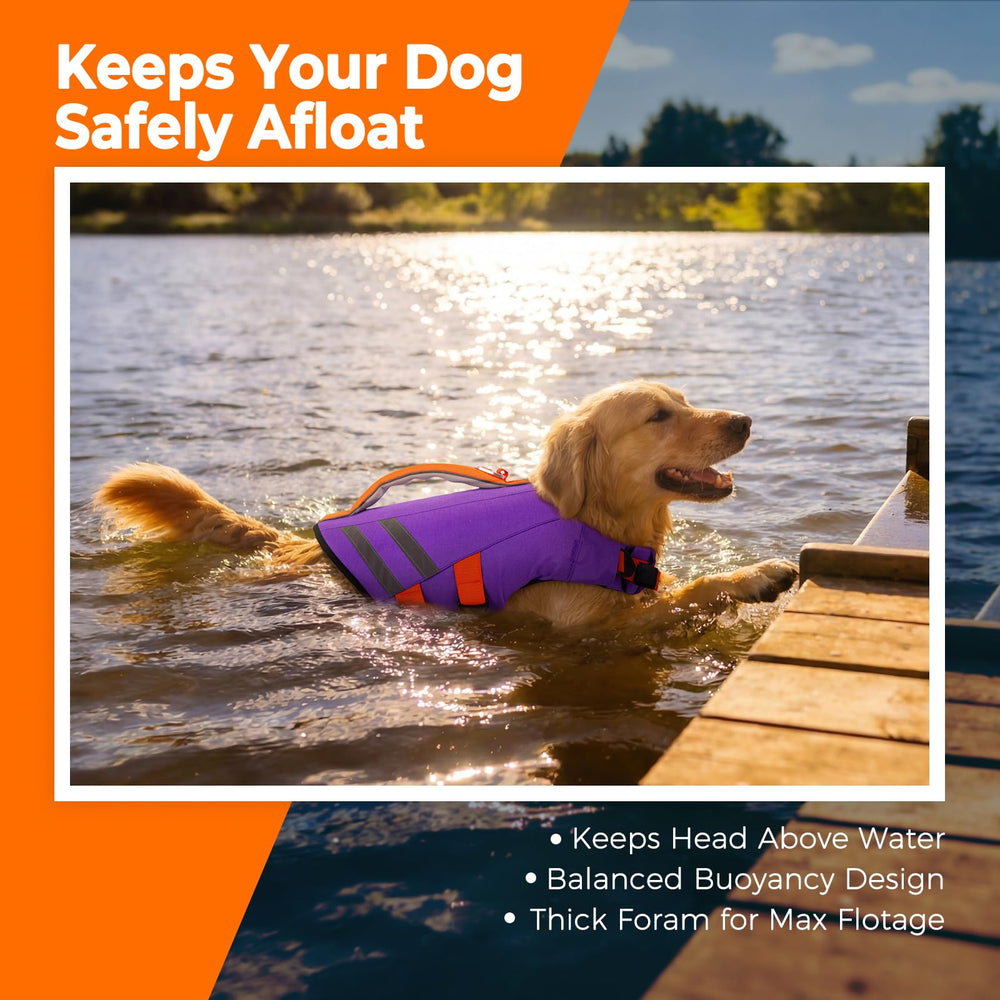 LeLePet gilet de natation chien – dos, visibilité accrue et couleur vive.
