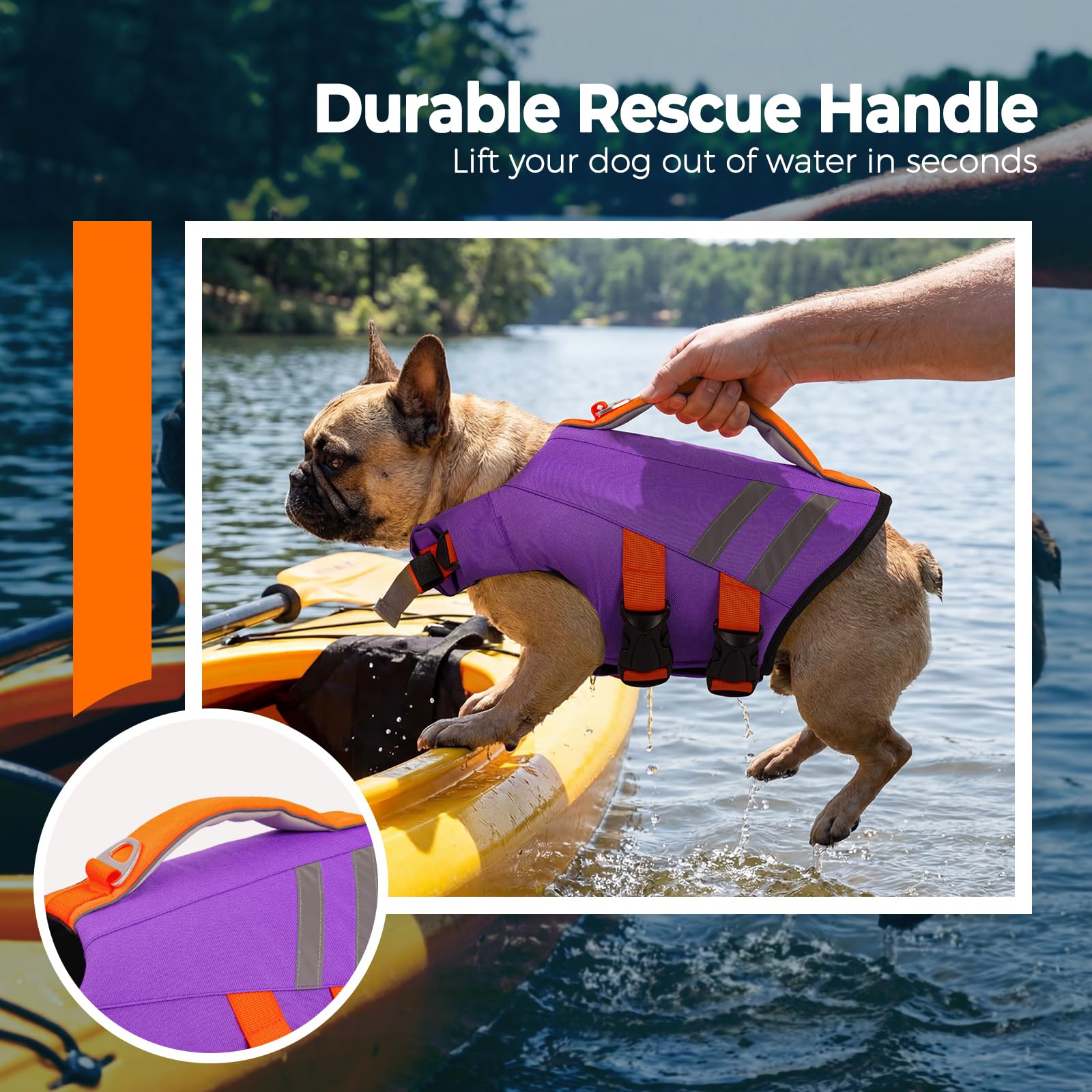 LeLePet gilet natation chien – poignée secours, aide rapide en urgence.