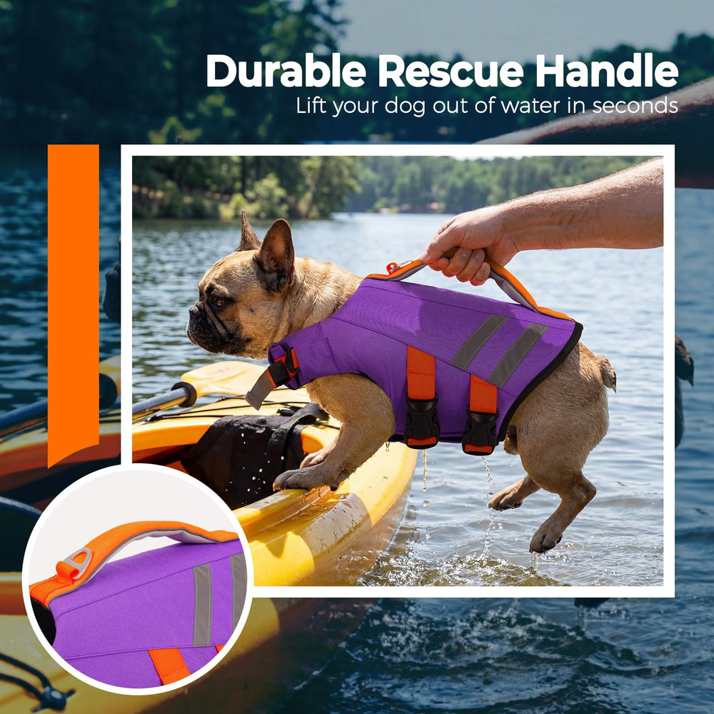 LeLePet gilet natation chien – poignée secours, aide rapide en urgence.