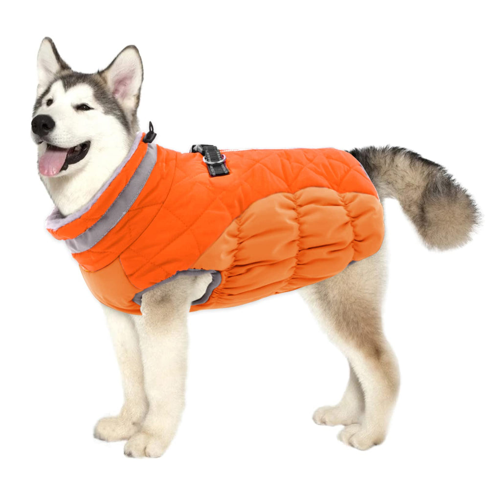 LeLePet manteau chien hiver chaud, idéal pour promenades par temps froid.