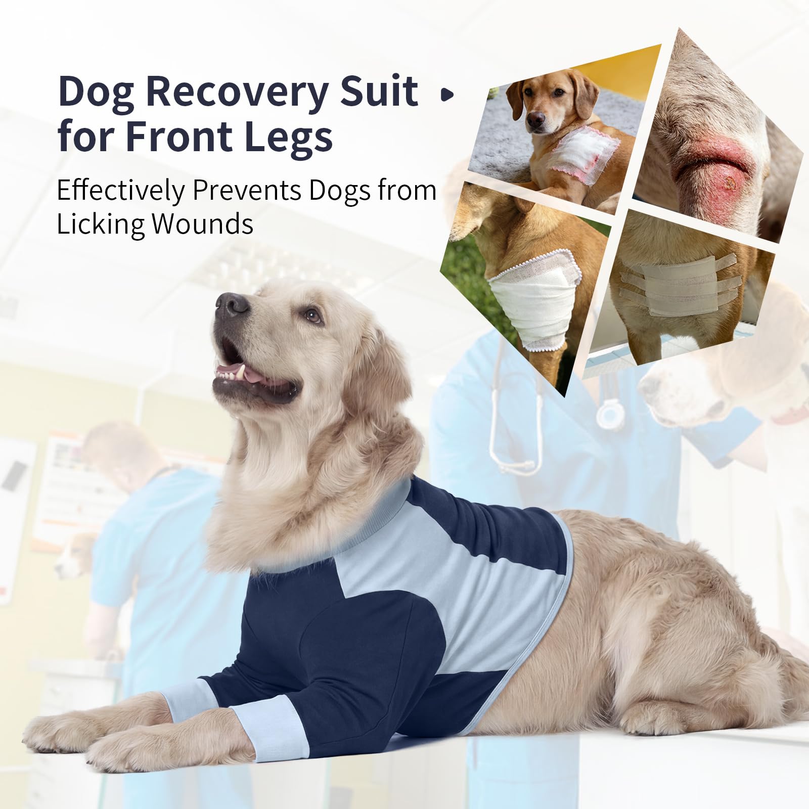 LeLePet Recovery Suit: fermeture dorsale facilitant l’enfilage sans stress.