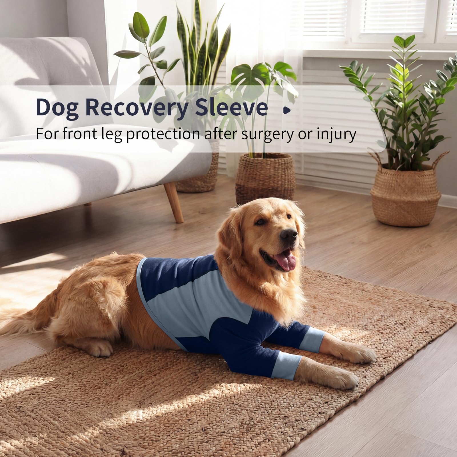 LeLePet Recovery Suit offre une coupe stable qui reste en place.
