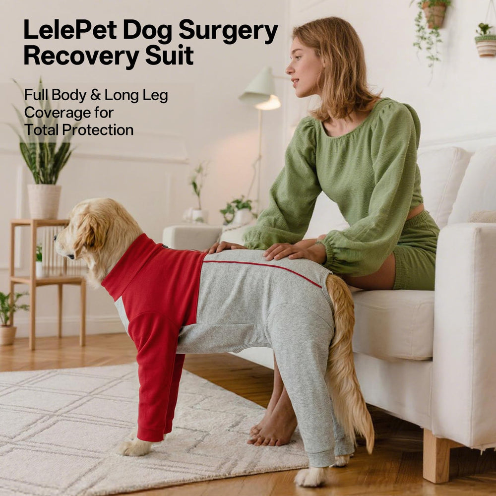 LeLePet recovery-suit usage polyvalent, peut servir de pyjama pour chien