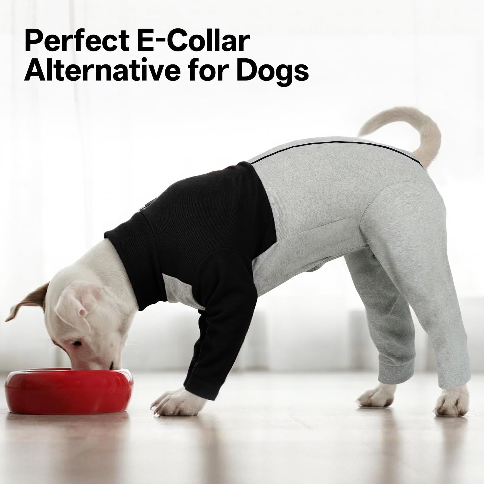 LeLePet usage polyvalent: pyjama pour chien et protection anti-grattages.