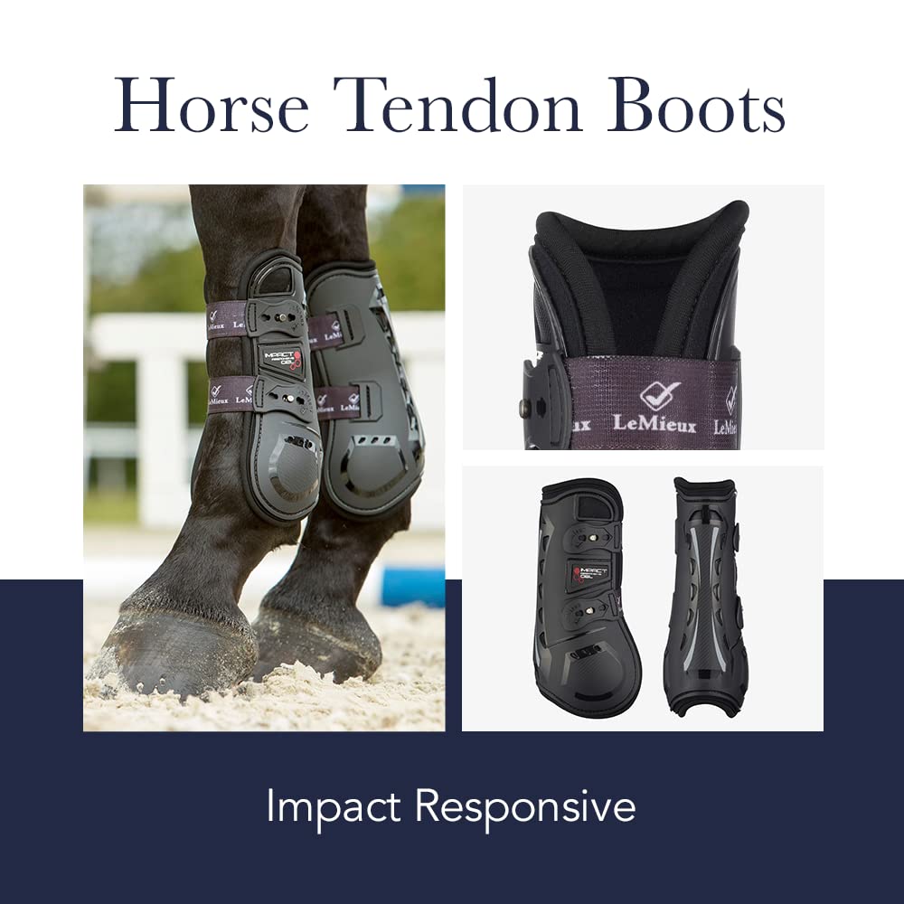 LeMieux Impact Responsive bottes tendon noir taille large – absorption des chocs lors des réceptions et virages.