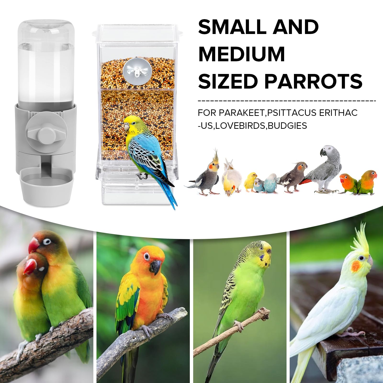 Lemtrflo distributeur eau oiseau, vérifie rapidement le niveau d'eau.