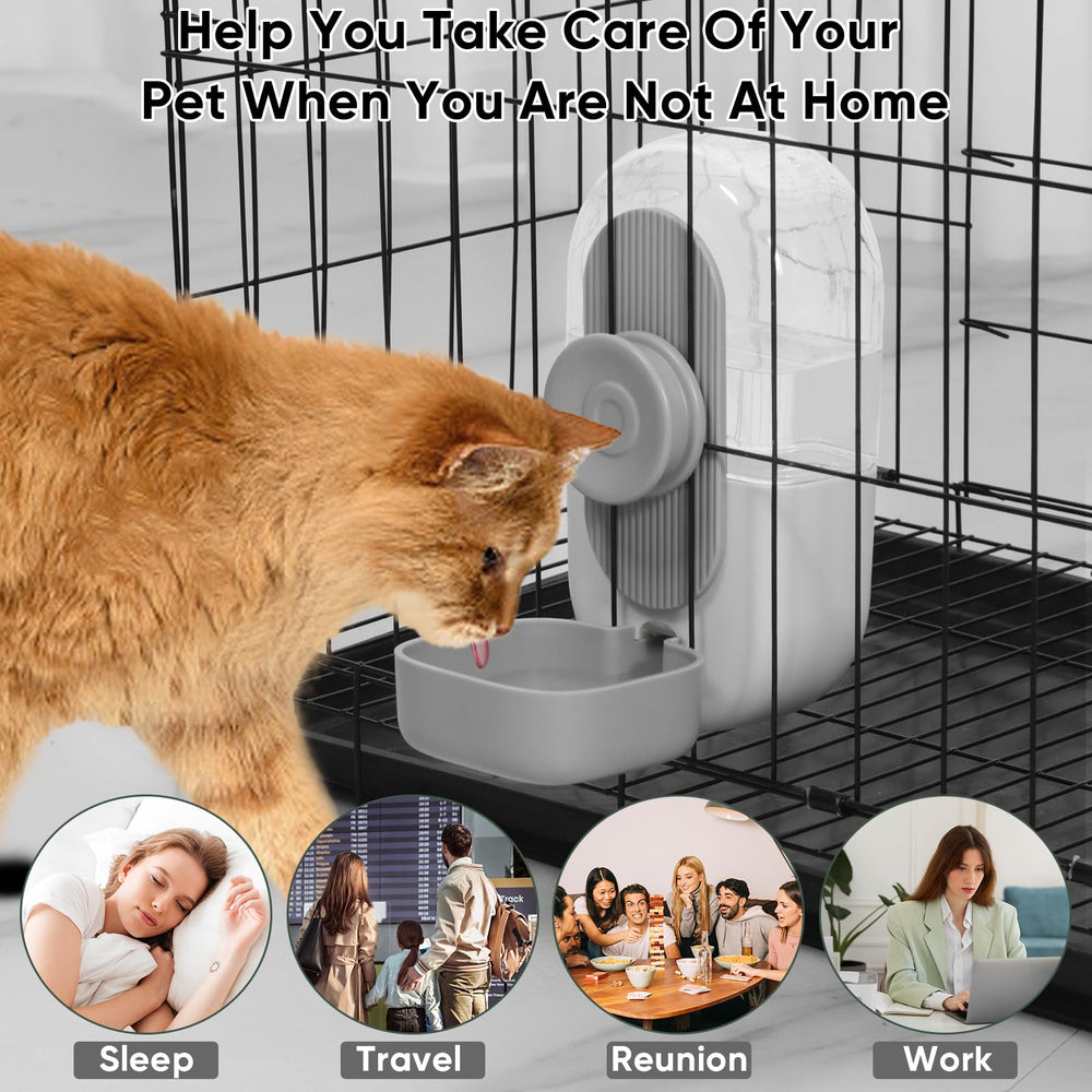 Lemtrflo outil eau pour lapins et cobayes, remplissage facile.