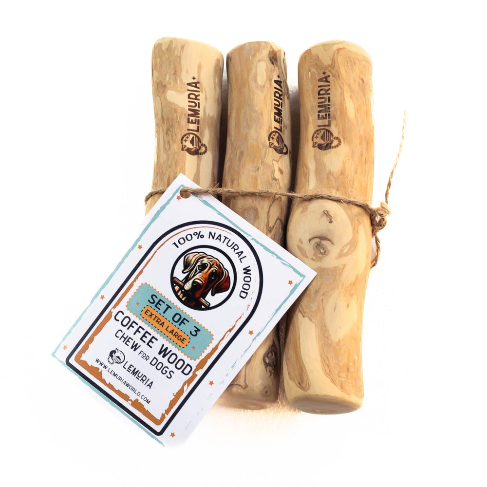 Lemuria ensemble batons bois cafe: trois pieces robustes pour mordiller et dentition.