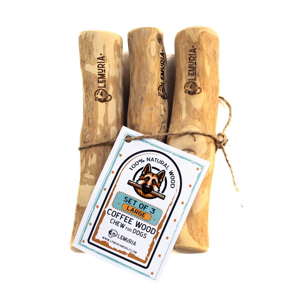 Lemuria set de 3 bâtonnets bois café pour chien stimule la dentition naturelle.