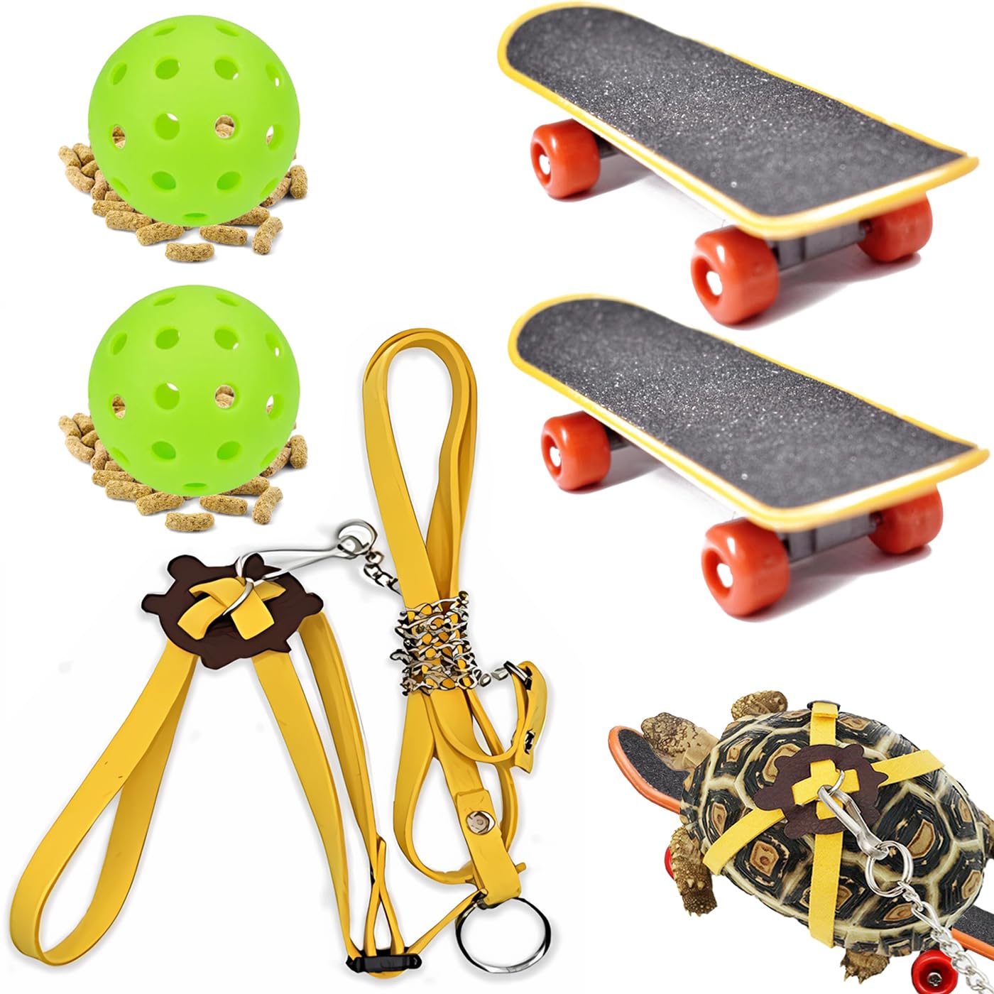Lengnuantazhi tortue skateboard mini: jeu stimulant pour l'exploration.