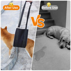 Lenpestia harnais elevateur chien mobilité facilitee: aide lors des escaliers et des sorties.