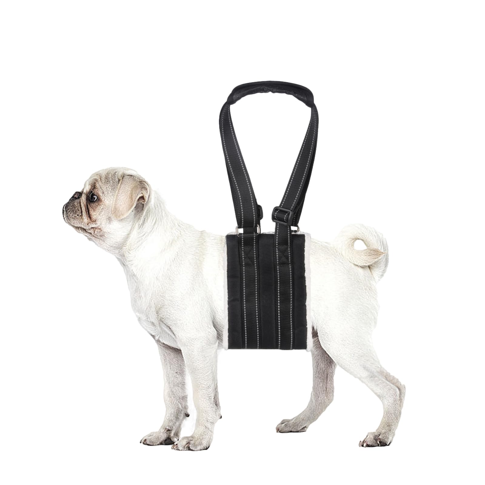 Lenpestia harnais levage chien ajustable offre un soutien sûr et personnalisé.