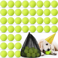 Lenwen balles tennis chien paquet de 50 pour entrainement et jeu